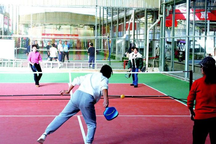 匹克球飞进浏阳|羽毛球|协会|乒乓球|浏阳市|长沙市_新浪体育_新浪新闻